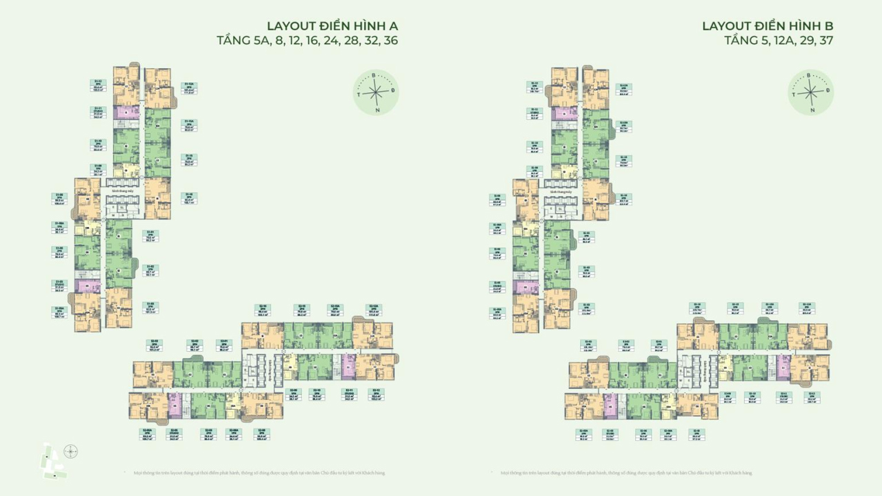Mặt bằng tầng điển hìnhs